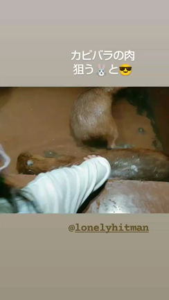10/17(日)★Tちゃんリク撮ありがとうございました(*/∀＼*)♪の記事動画