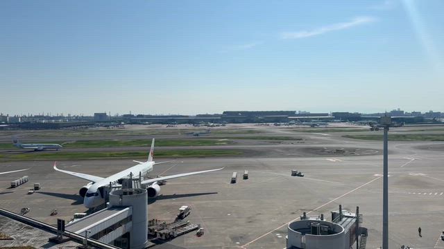 羽田空港をモールとして使っている女の記事動画