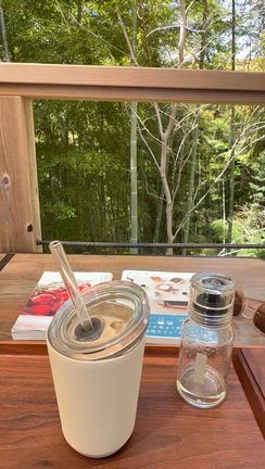 台湾茶飲み比べ　（高山烏龍茶・凍頂烏龍茶）の記事動画