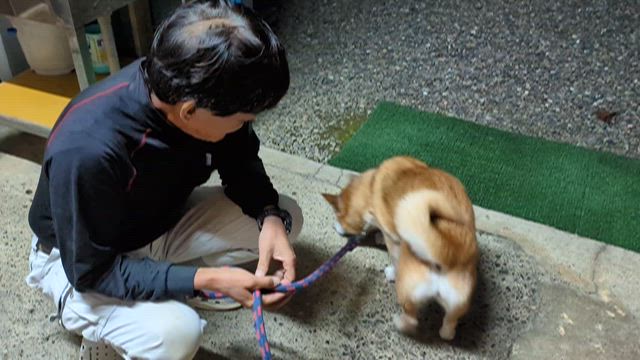 風邪インフルエンザが怖いからマスク♡の記事動画