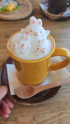 ランチでライングループのアルバムが100枚越えのカフェの記事動画