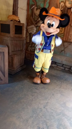 6月3日ディズニーシー②の記事動画
