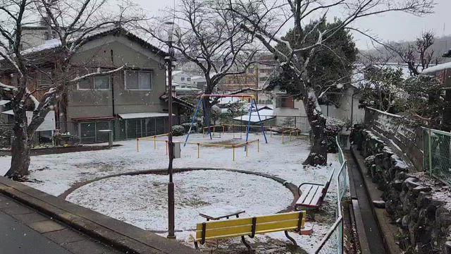 コミュニティ辻町第８公園2026年２月の活動  雪の中でコミュニケーションの記事動画