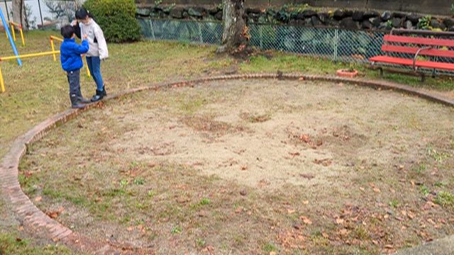 コミュニティ辻町第８公園 2025年12月の活動  花の名前を書いておくの記事動画