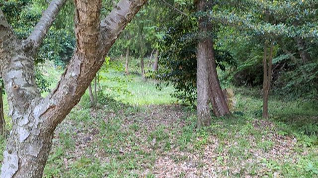 ゴールデンウィークの中日は☔の記事動画