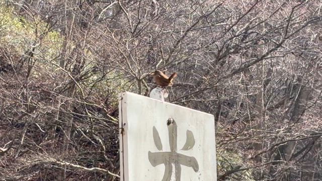 四万温泉への記事動画