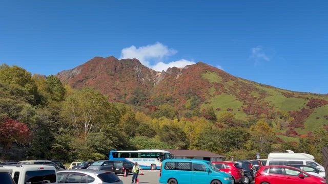 紅葉の錦の記事動画