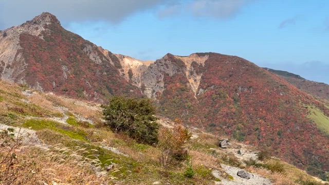 紅葉の錦の記事動画
