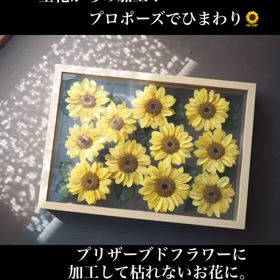 2024/06/25の画像