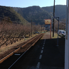 0系新幹線 鉄道ホビートレイン 乗車しまーす。動画の画像
