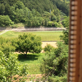 しまんトロッコ 乗車 動画 松野の画像