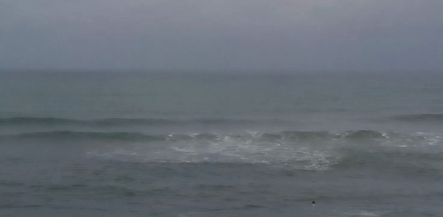 毛糸の帽子&今日の海の記事動画