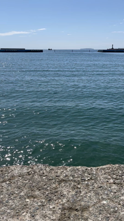 熱海の休日の記事動画