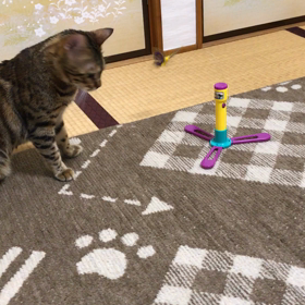 こはくの好みではなかったʕ⁎̯͡⁎ʔ༄の画像