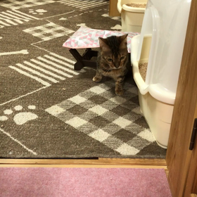 どうしても着てしまう、、、の画像