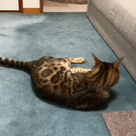 動と静の画像