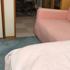 夜中のバトルの画像