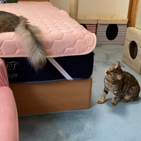 ご無沙汰しております(^^;;の画像
