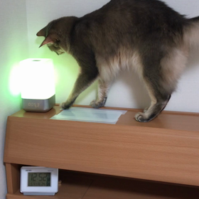 目覚まし時計 さんご編の画像