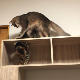 この場所は絶対に譲らない！の画像