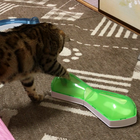 一緒に遊ぶ？の画像