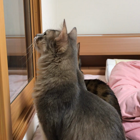 さんご興奮(笑)の画像
