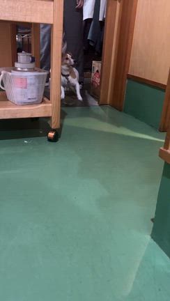 愛知にての記事動画