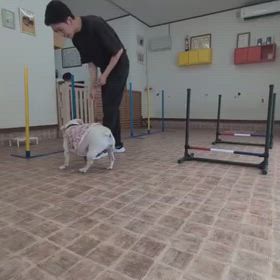 こはるちゃん！頑張れ～の画像
