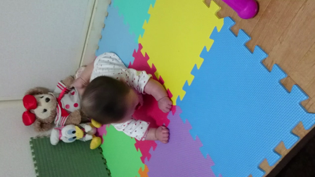 初めてのの記事動画
