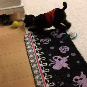 2020/05/18の画像