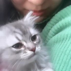 気が向いたの画像