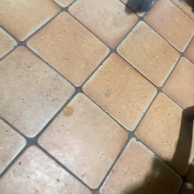 本日の１枚の画像