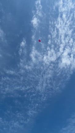 【4歳】新しく導入した室内遊具&大喜びの空飛ぶおもちゃ❤︎の記事動画