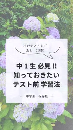 中学生が英語テストで 7割取る方法の記事動画