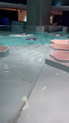 札幌DAY♡の記事動画