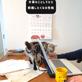 身元保証人の画像