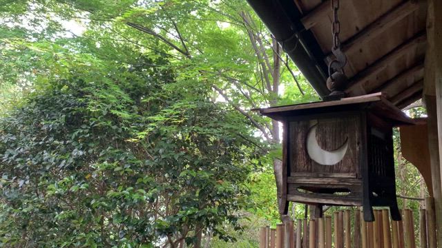 『外は大雨ですが…耳を澄ませてみて下さい♫清々しい気持ちになれます。』の記事動画