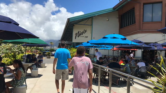 久しぶりにニコス・ピア38のポケ丼食べた！美味しかった〜の記事動画