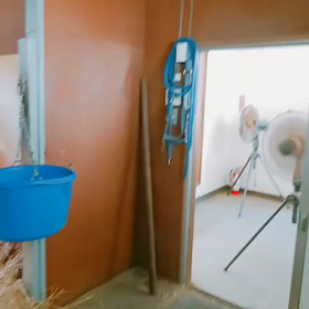 引っ越し先はこんな感じの画像