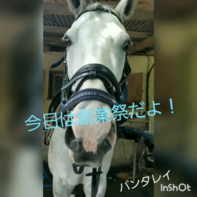 今日は乗馬クラブの創業祭！の画像