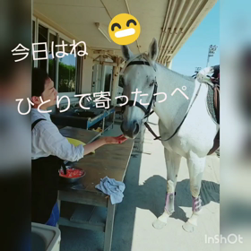 みんなには㊙️……クリールマグナムの画像