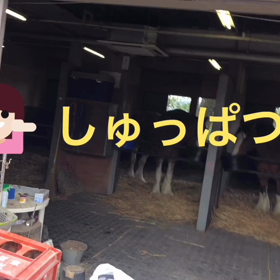 明日から大井開催です〜お引っ越し〜の画像