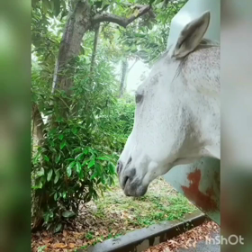 準備ちゅう。。！番外編の画像