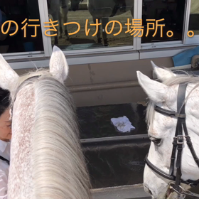 いきつけの場所みたびの画像