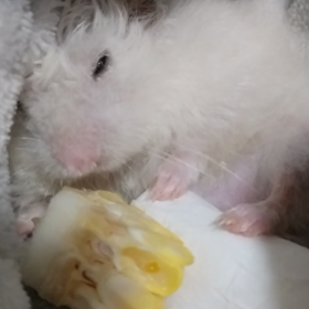 ありがとうございました♡の画像