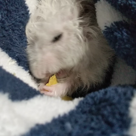 ありがとうございましたの画像