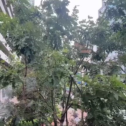 バイバイ東京の記事動画