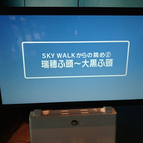 他に　見続けたもの。のサムネイル画像