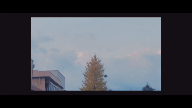 yukiのハマりごとの記事動画