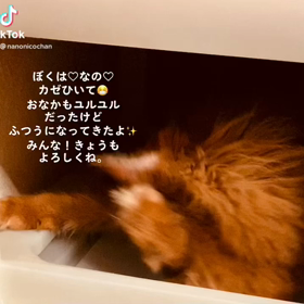 TikTokに投稿した☺️の画像